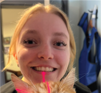 interview icon